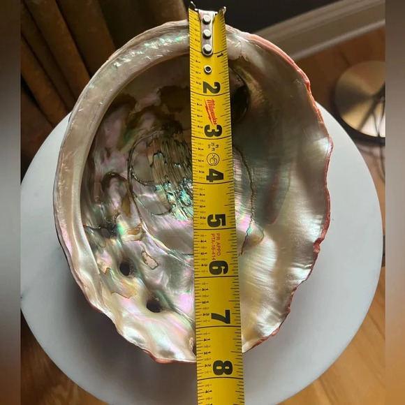 Vintage Red Abalone Shell. Excellent luster. Collector piece. - Picture 4 of 12